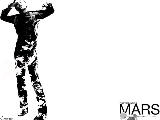390692 (a): :1024x768